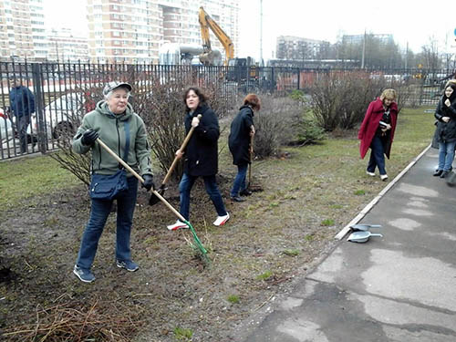 IMG_8.04.17_6.jpg IMG_8.04.17_6.jpg
