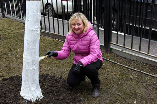 IMG_8.04.17_1.jpg IMG_8.04.17_1.jpg